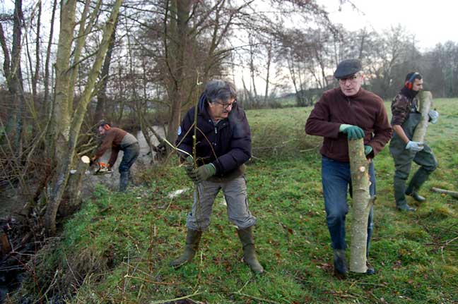 travaux riviere genie vegetal 03