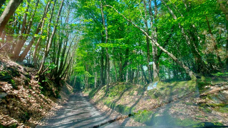 voie verte perche veloscenie