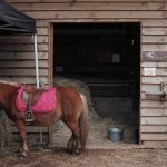 ferme aritoire madeleine bouvet 02