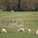 ferme aritoire madeleine bouvet 03