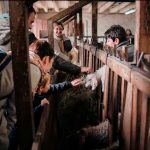 ferme aritoire madeleine bouvet 06