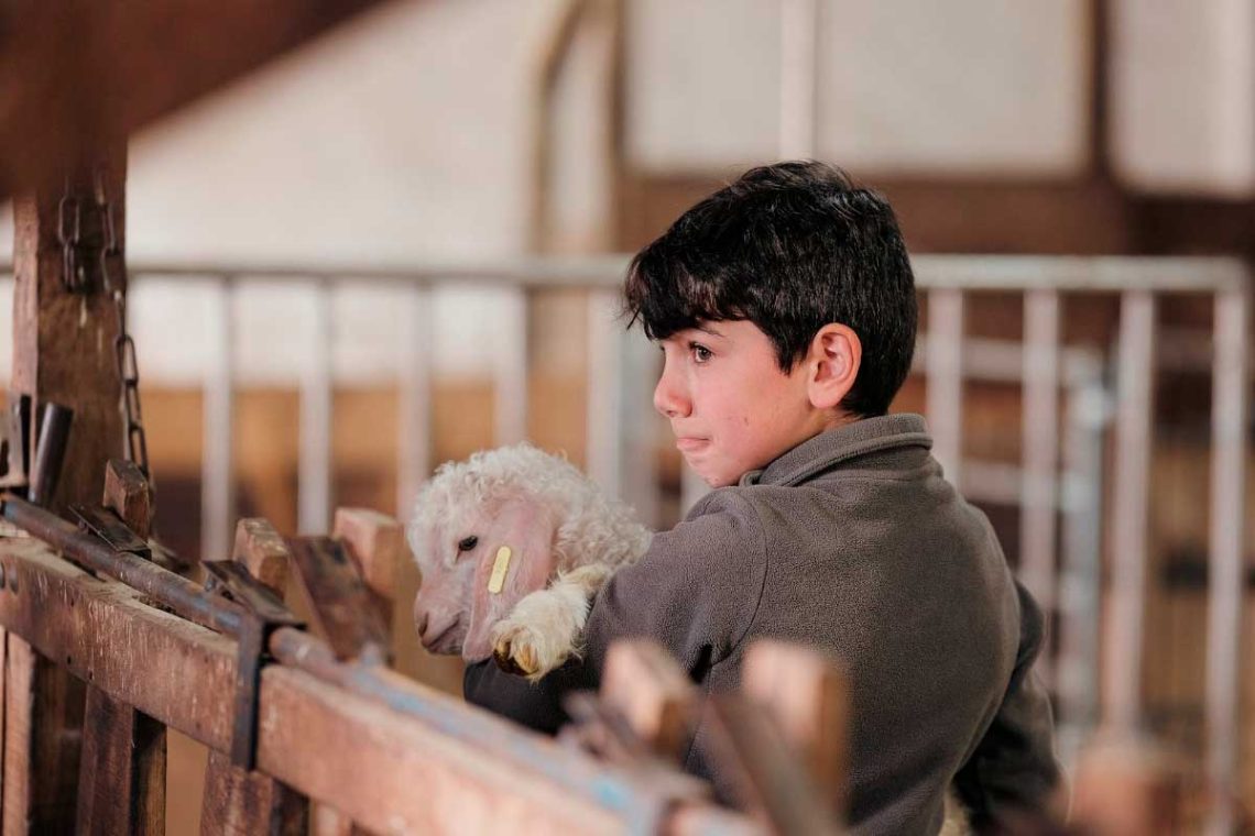 mise avant ferme aritoire madeleine bouvet
