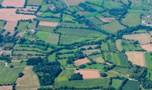 plantation haies air papillon