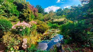 jardin petite rochelle 01