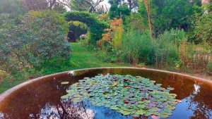 jardin petite rochelle 03