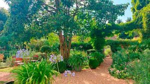 jardin petite rochelle 04