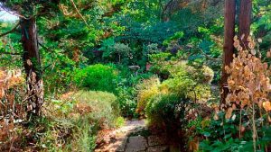 jardin petite rochelle 05