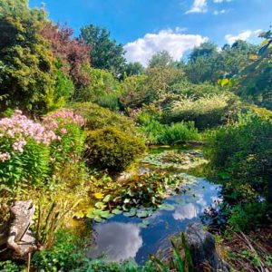 jardin petite rochelle mise avant