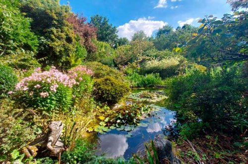 jardin petite rochelle mise avant