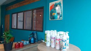 karine malestroit astus 03