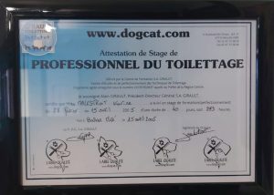 karine malestroit astus 06