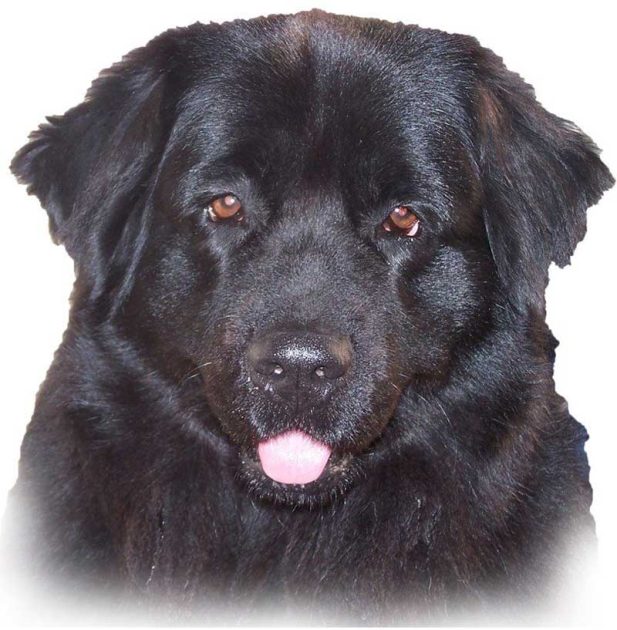 karine malestroit astus 07