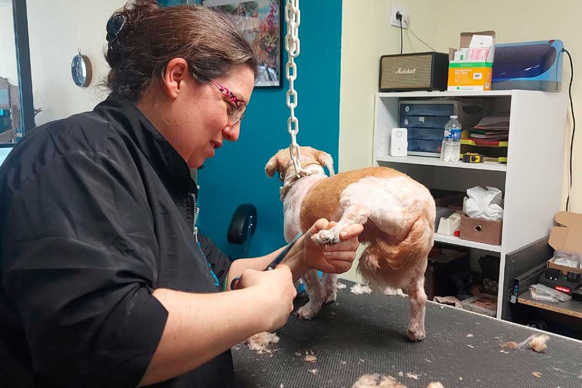 karine malestroit astus mise avant