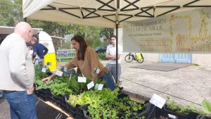 le garde manger fleuri de millie