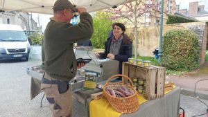 les cochons sont dans le pre