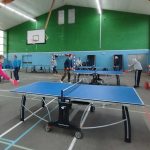 ping pong tennis table